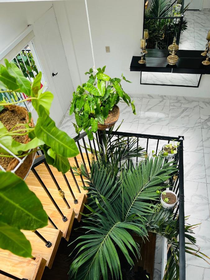 Le Marie B&B Картахена Экстерьер фото